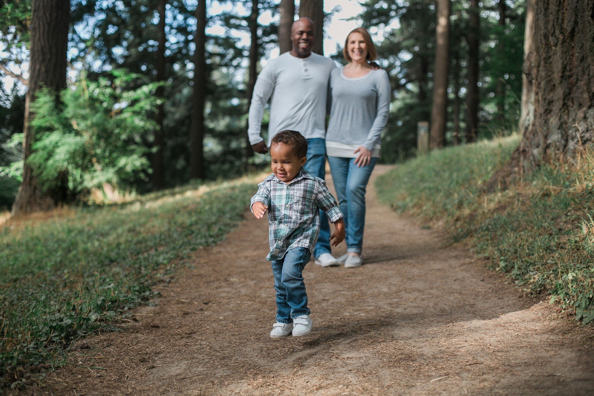 family law solicitors - family walking together in the woods